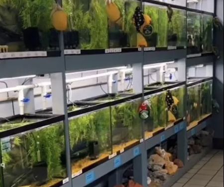Natural Environment Aquatix