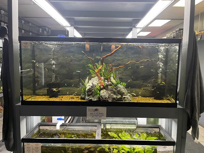 Natural Environment Aquatix Picture 4