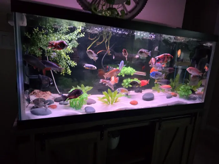 Natural Environment Aquatix Picture 6