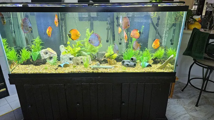 Natural Environment Aquatix Picture 9
