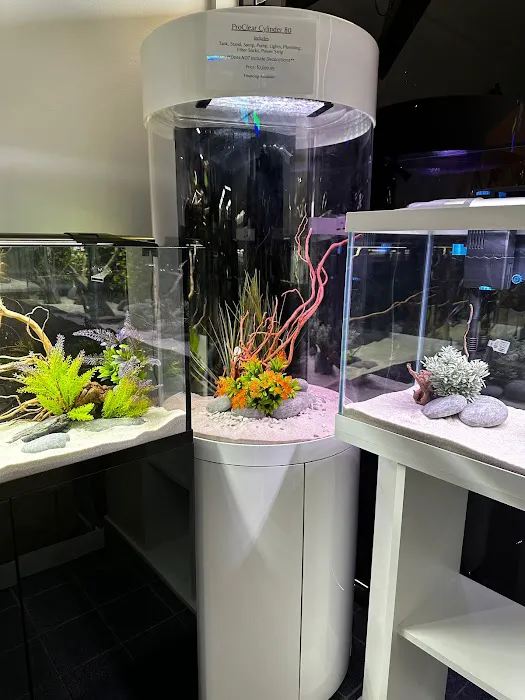 Natural Environment Aquatix Picture 7