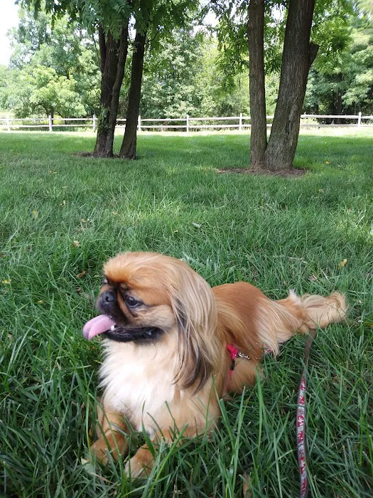 Pinelands Veterinary Clinic Picture 2