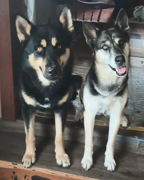 Pinelands Veterinary Clinic Picture 1