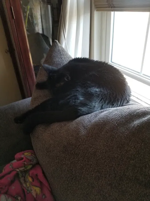 Pinelands Veterinary Clinic Picture 7