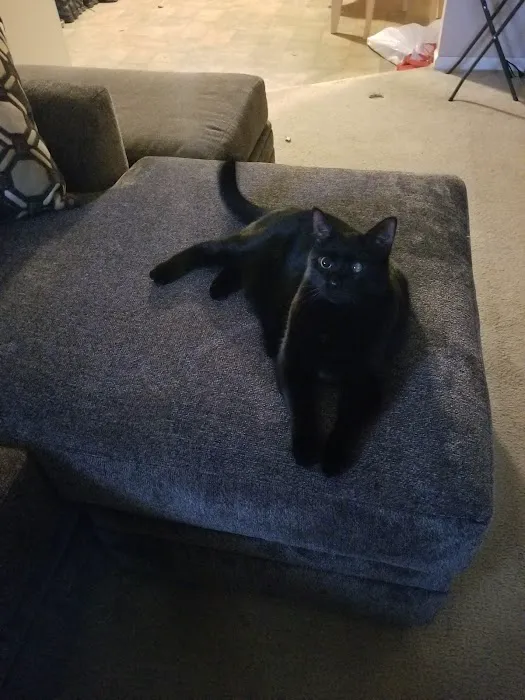 Pinelands Veterinary Clinic Picture 8