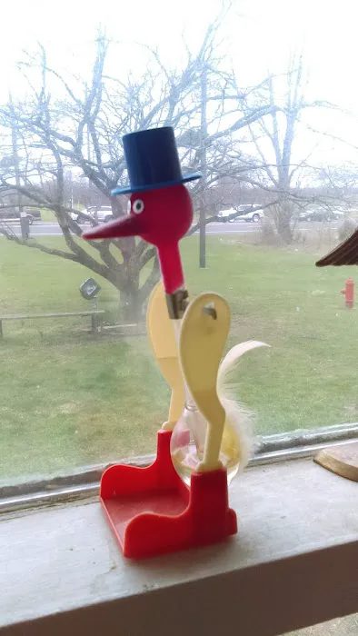 Pinelands Veterinary Clinic Picture 6