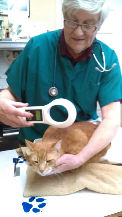 Pinelands Veterinary Clinic Picture 9