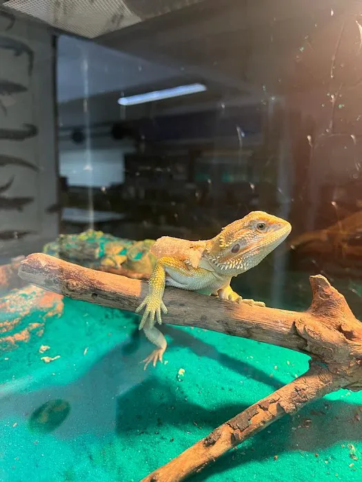 Eg Exotic Pets & More LLC Picture 3