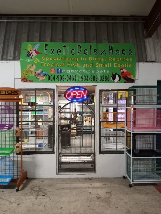 Eg Exotic Pets & More LLC Picture 2
