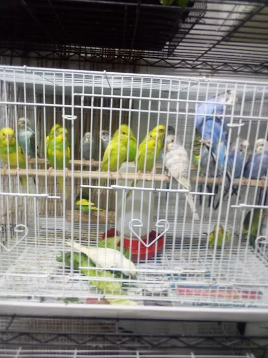 Eg Exotic Pets & More LLC Picture 4