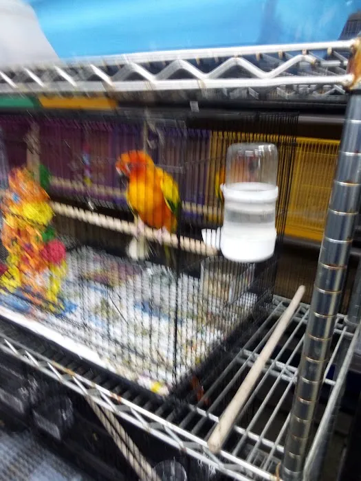 Eg Exotic Pets & More LLC Picture 6