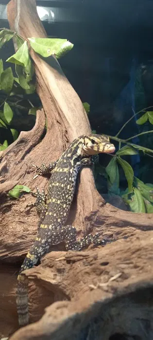 Eg Exotic Pets & More LLC Picture 5