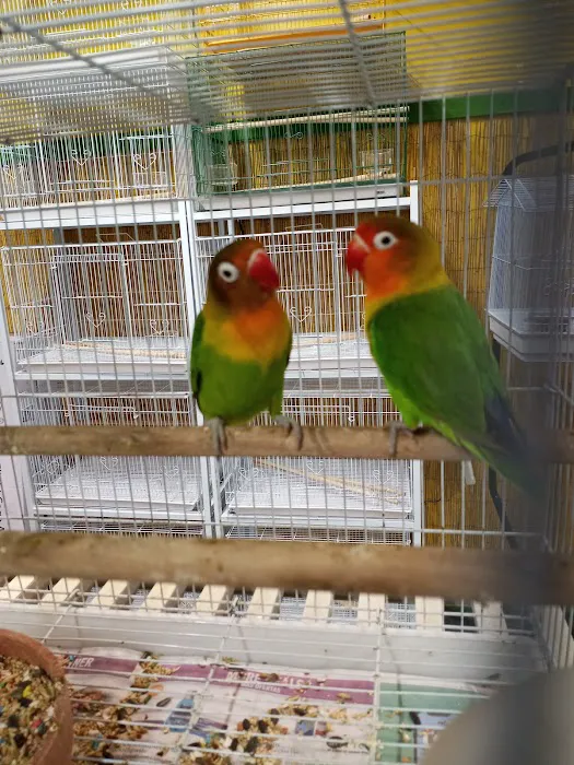 Eg Exotic Pets & More LLC Picture 9