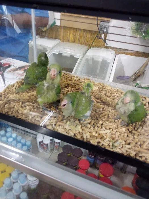 Eg Exotic Pets & More LLC Picture 7