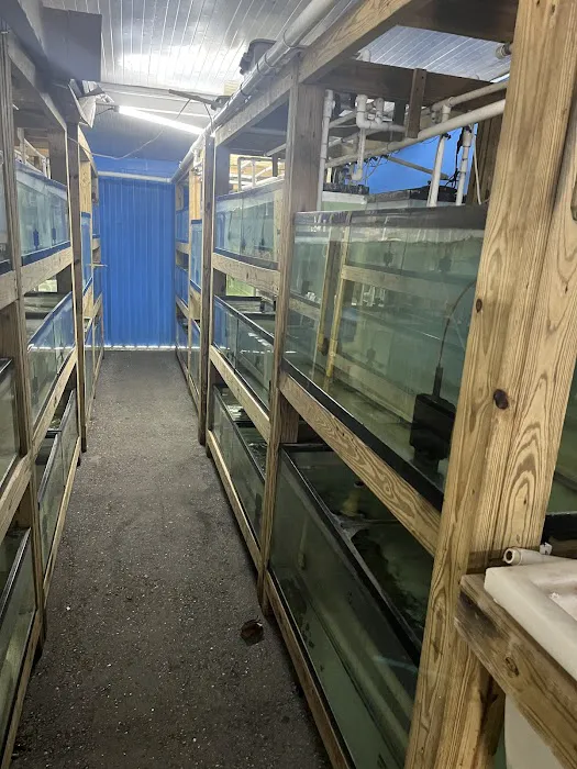 Eg Exotic Pets & More LLC Picture 10