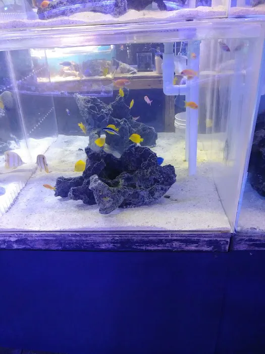 Bio-Reef LLC Picture 3