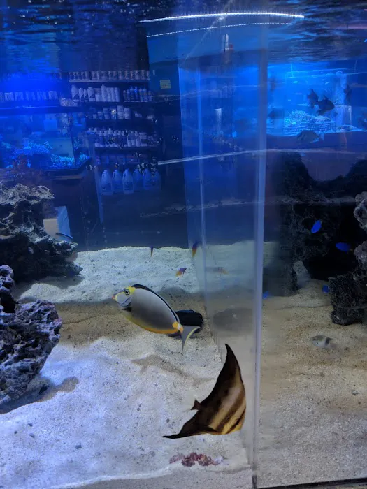 Bio-Reef LLC Picture 2