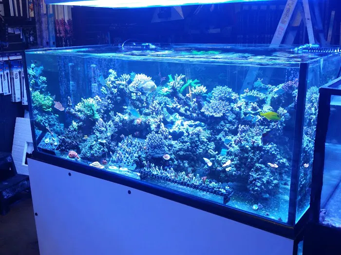 Bio-Reef LLC Picture 4