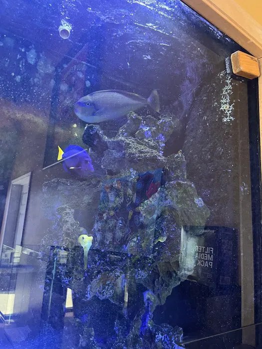 Bio-Reef LLC Picture 5