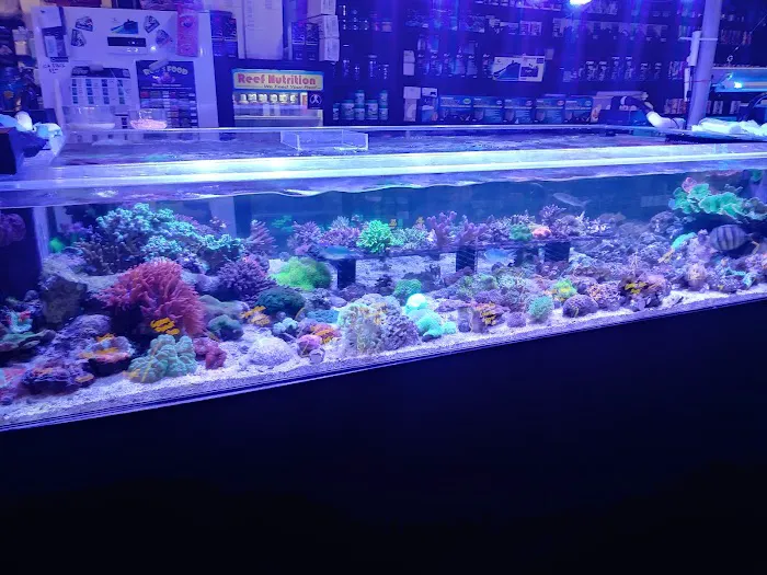 Bio-Reef LLC Picture 7