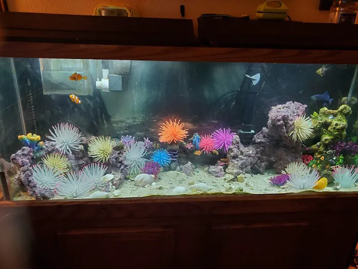 Bio-Reef LLC Picture 10