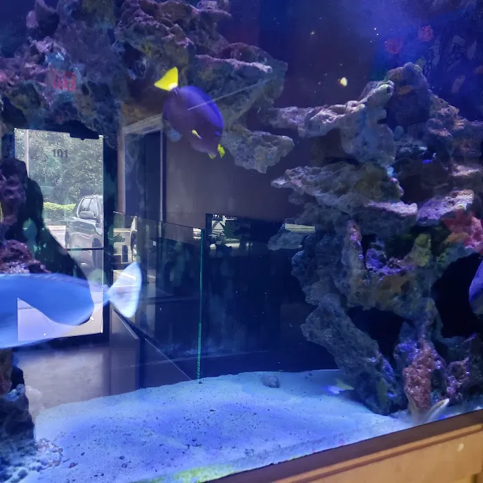 Bio-Reef LLC Picture 9