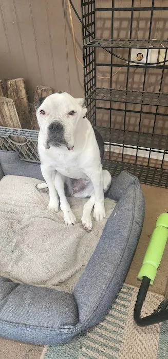 West Hunterdon Animal Hospital Picture 6