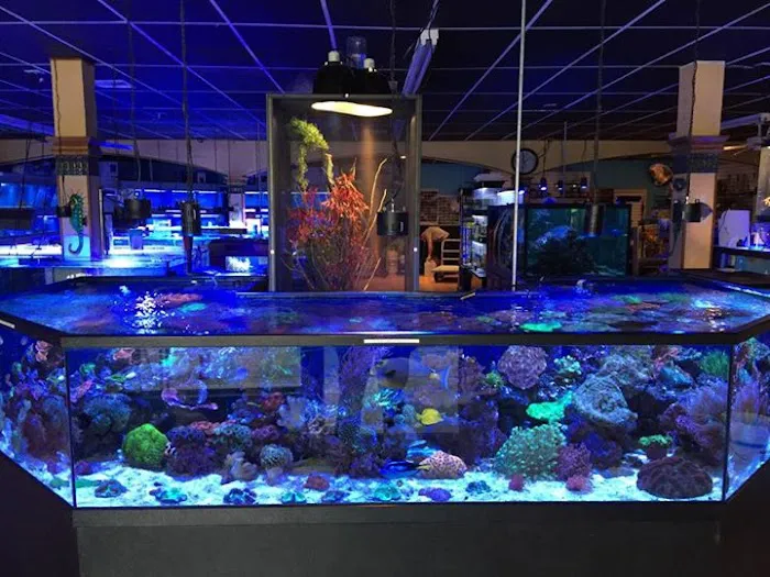 Coral Logic Aquarium LLC Picture 2