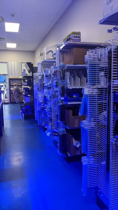 Coral Logic Aquarium LLC Picture 6