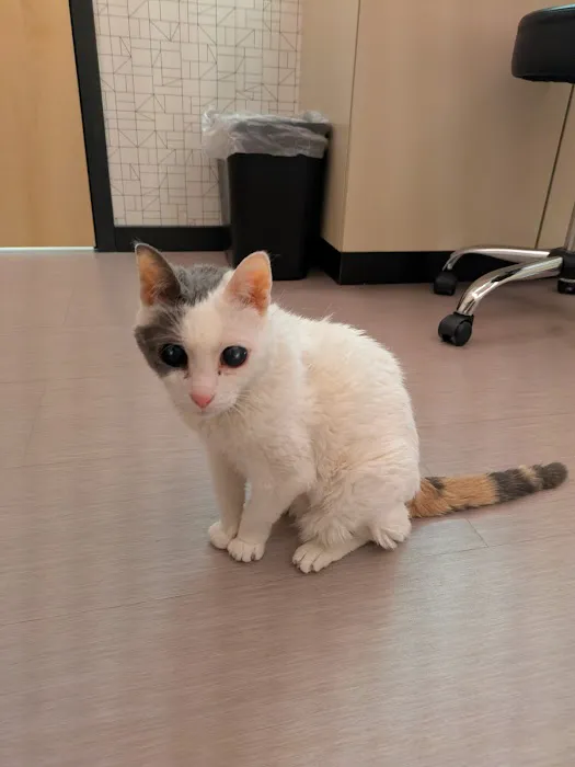 Vet Vision Center Picture 1