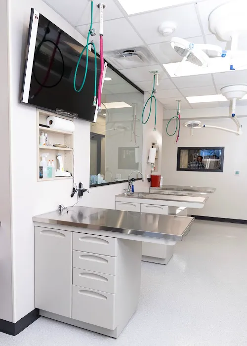 Vet Vision Center Picture 2