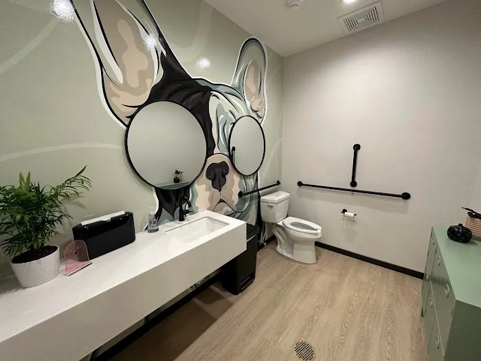 Vet Vision Center Picture 4