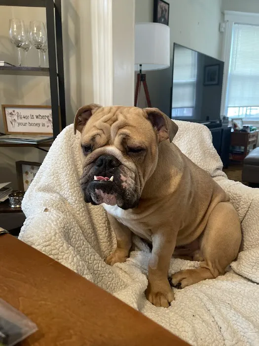 Vet Vision Center Picture 5