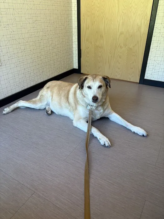 Vet Vision Center Picture 7