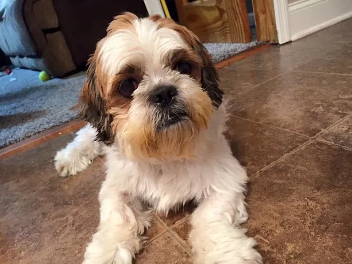 Vet Vision Center Picture 6