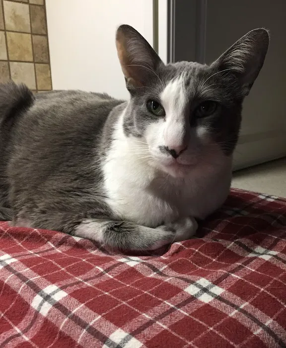 Vet Vision Center Picture 9