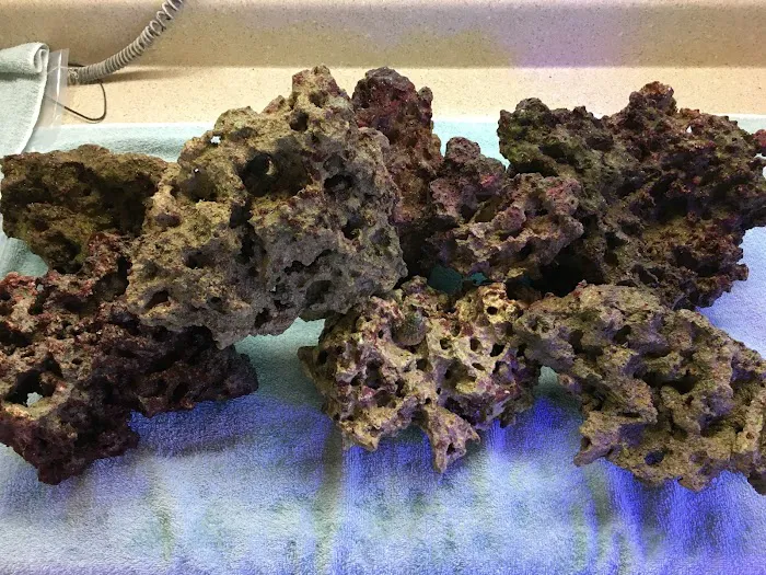 Aquarium Professionals, Inc Picture 4