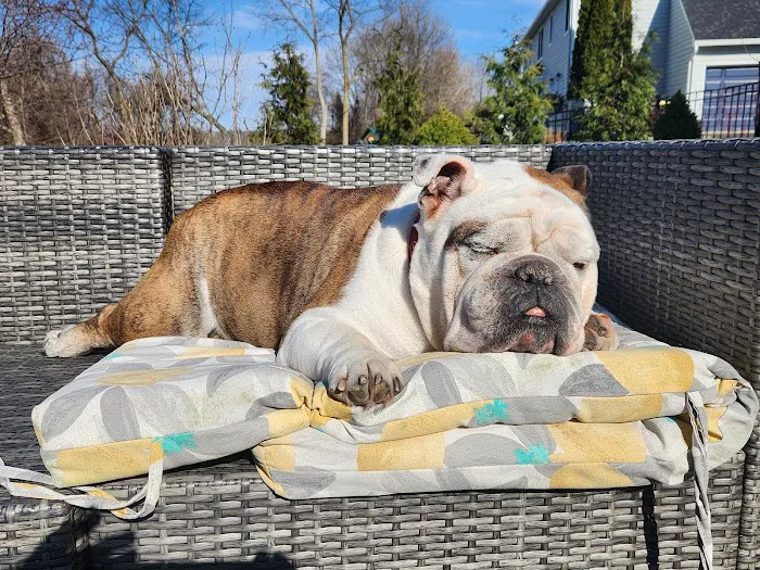 Stockton Veterinary Hospital Picture 1