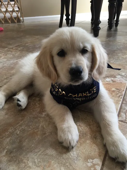 Stockton Veterinary Hospital Picture 4