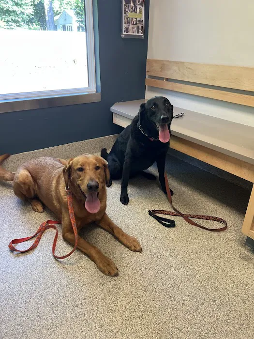 Stockton Veterinary Hospital Picture 8