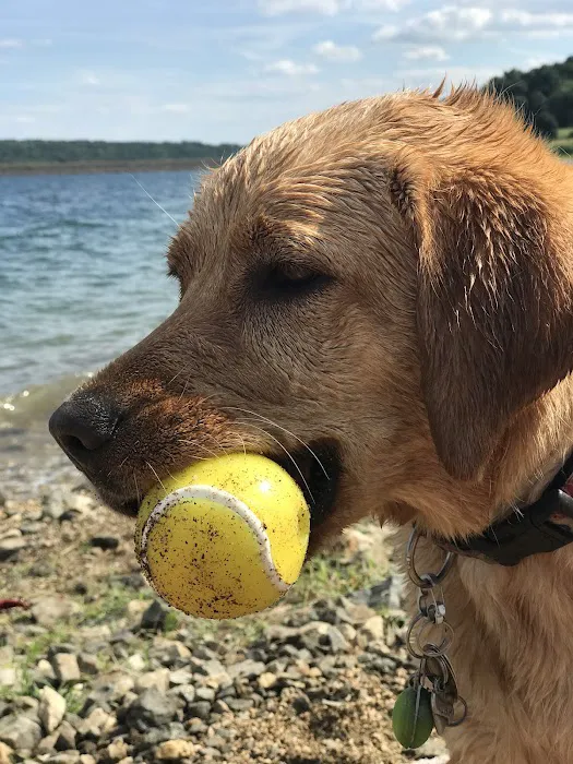 Stockton Veterinary Hospital Picture 9