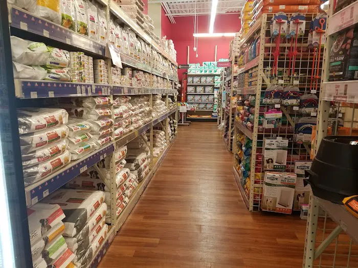 Pet Supermarket Picture 1
