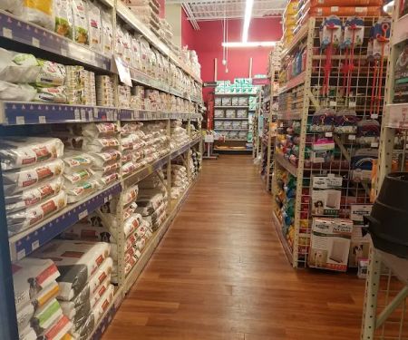 Pet Supermarket