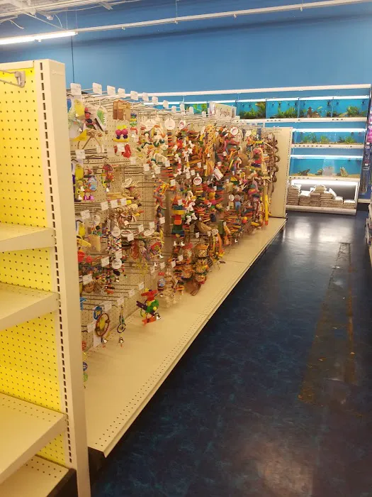 Pet Supermarket Picture 4