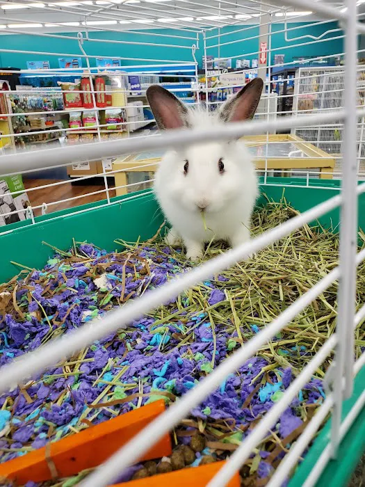 Pet Supermarket Picture 6