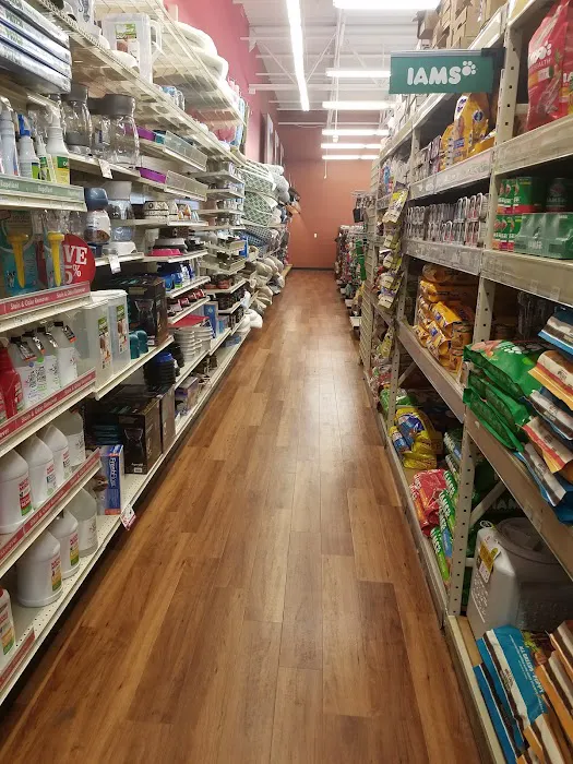 Pet Supermarket Picture 7