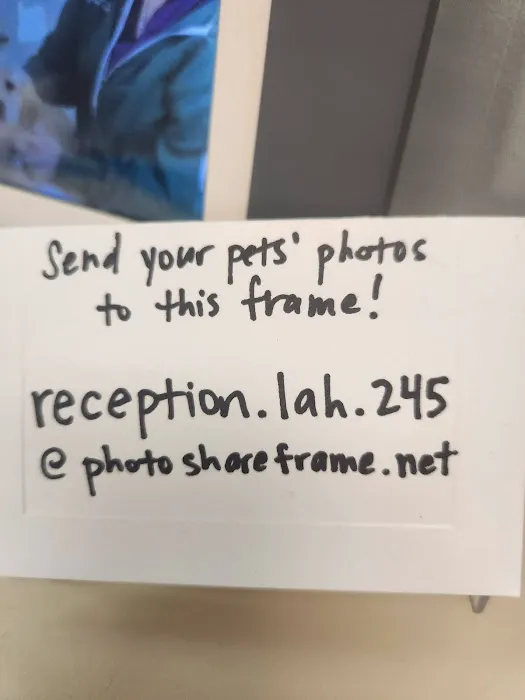 Lambertville Animal Hospital Picture 10
