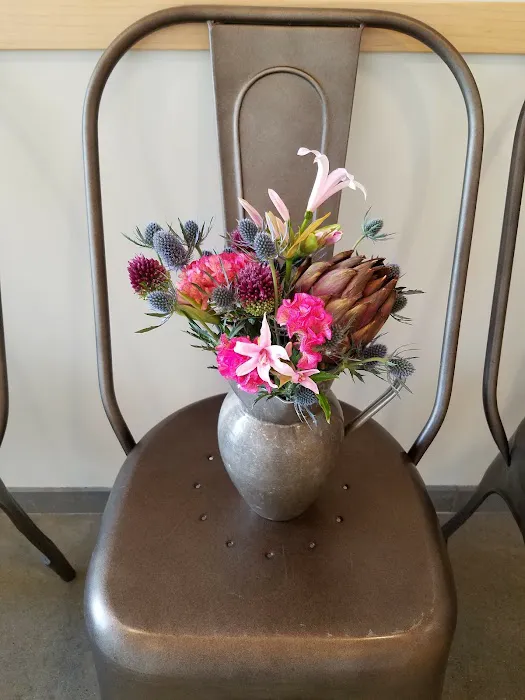 New Hope Veterinary Hospital Picture 2