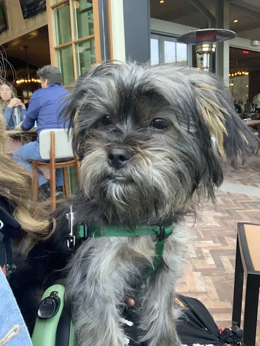 New Hope Veterinary Hospital Picture 4