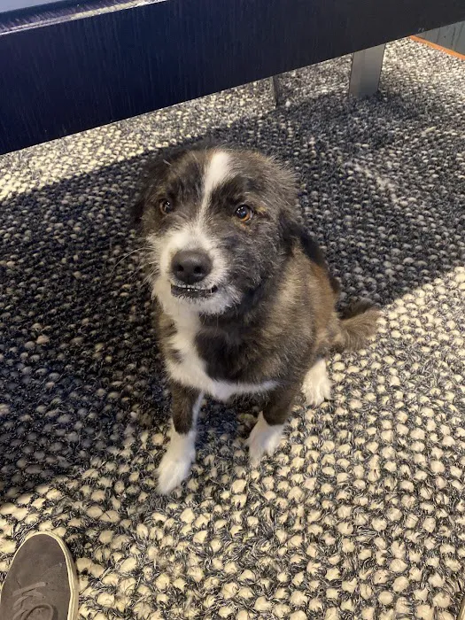 New Hope Veterinary Hospital Picture 7